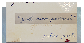 title card for Pink Room Pastoral by Joohee Park